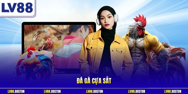 Đá Gà Cựa Sắt LV88 - Đấu Trường Kịch Tính Cho Các Tín Đồ