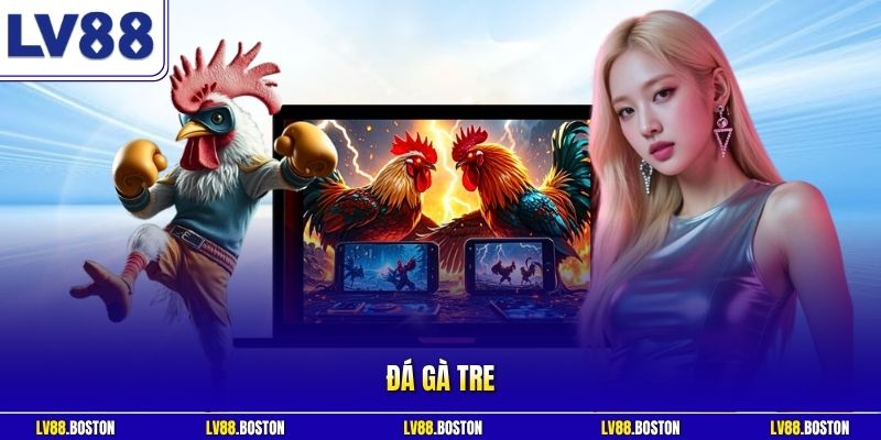 Đá Gà Tre LV88 – Sảnh Đấu Trực Tiếp Kịch Tính, Tỷ Lệ Cao