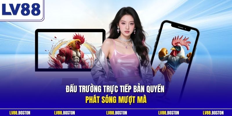 Đấu trường trực tiếp bản quyền phát sóng mượt mà
