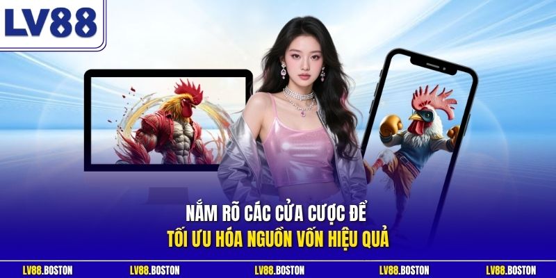 Nắm rõ các cửa cược để tối ưu hóa nguồn vốn hiệu quả