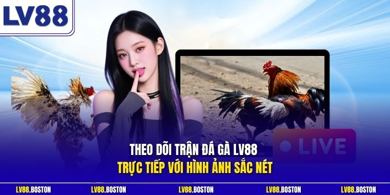 Theo dõi trận đá gà LV88 trực tiếp với hình ảnh sắc nét