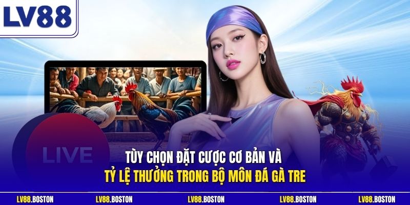 Tùy chọn đặt cược cơ bản và tỷ lệ thưởng trong bộ môn đá gà tre