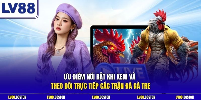 Ưu điểm nổi bật khi xem và theo dõi trực tiếp các trận đá gà tre